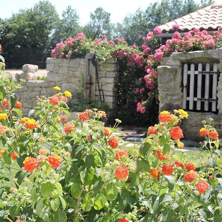 Couëron Le Manoir Du Pas Jahan מראה חיצוני תמונה